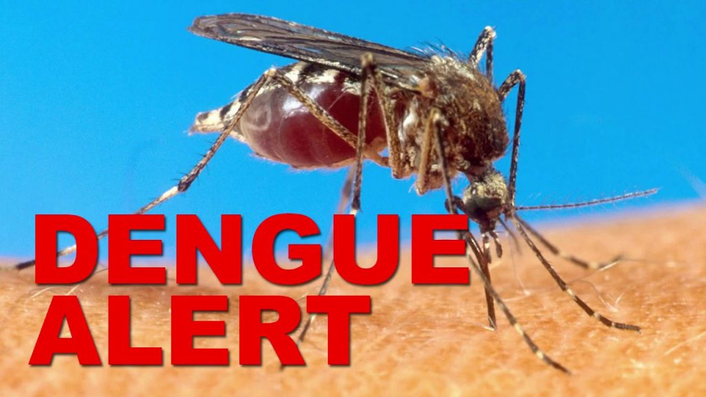 Dengue High Alert